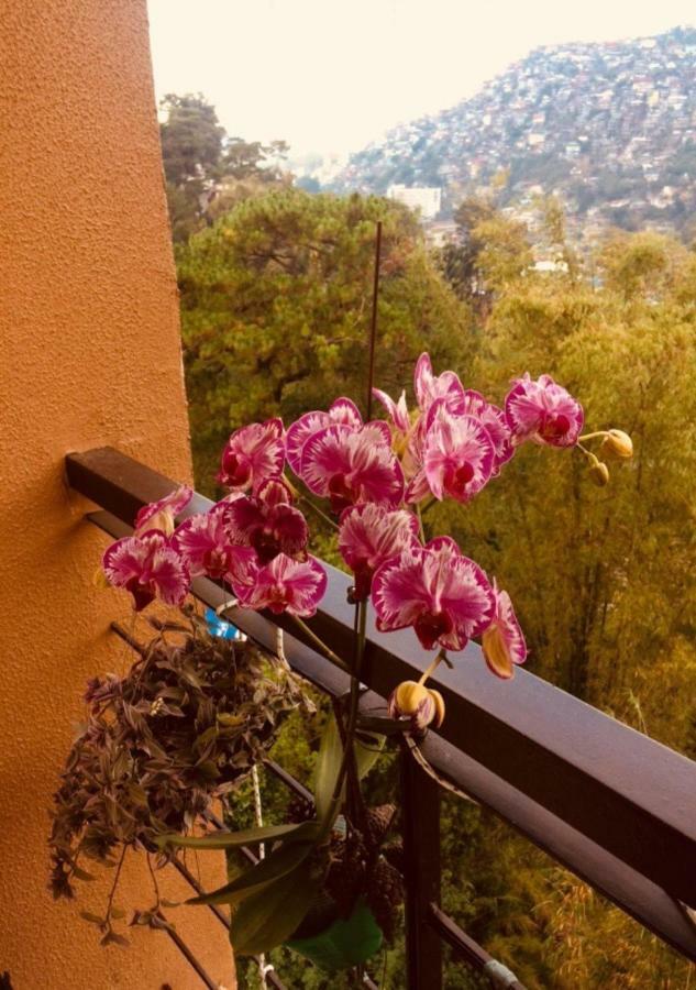 Courtyards Peak-Corner Pinestay - At Goshenland Baguio Baguio City Buitenkant foto